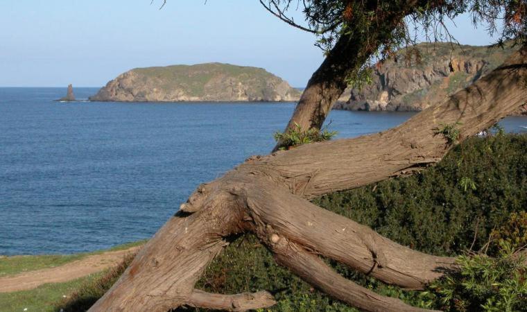 Appartamento In Casa Con Cortili Ad Arbus - Sardegna Luaran gambar